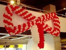 Fiyonk Balon Suslemesi